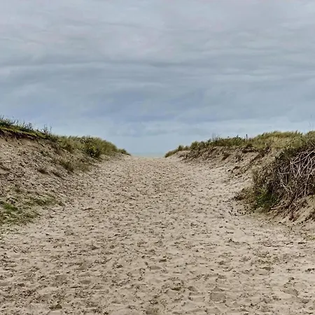 In Near Sandy Beaches