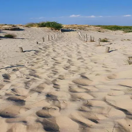 In Near Sandy Beaches * Nieuwpoort