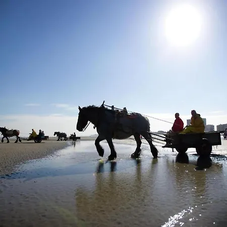 In Near Sandy Beaches * Nieuwpoort