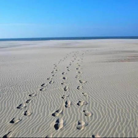 In Near Sandy Beaches